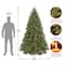 7.5ft. Pre-Lit Jersey Fraser Fir Artificial Christmas Tree, Clear Lights